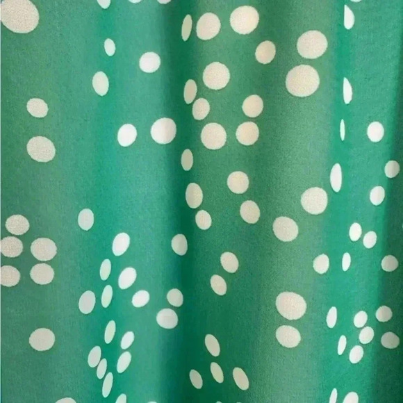 Bonworth Ladies Lined Skirt Green White Polka Dot Size Small EUC MINT condition - Picture 4 of 6
